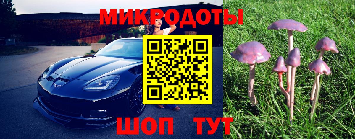 Галлюциногенные грибы MAGIC MUSHROOMS  Вход с VPN  Добрянка  Псилоцибиновые грибы Psilocybine cubensis 
