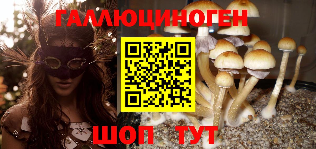 Галлюциногенные грибы GOLDEN TEACHER Добрянка